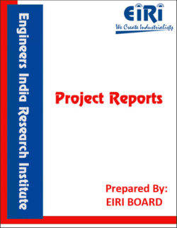 readymade garments project report