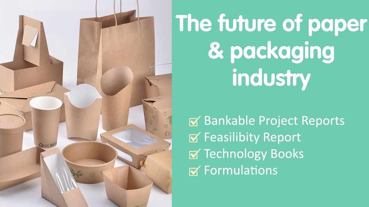 Investing in the Future: How the Paper and Paperboard Packaging Industry is  Poised for Growth